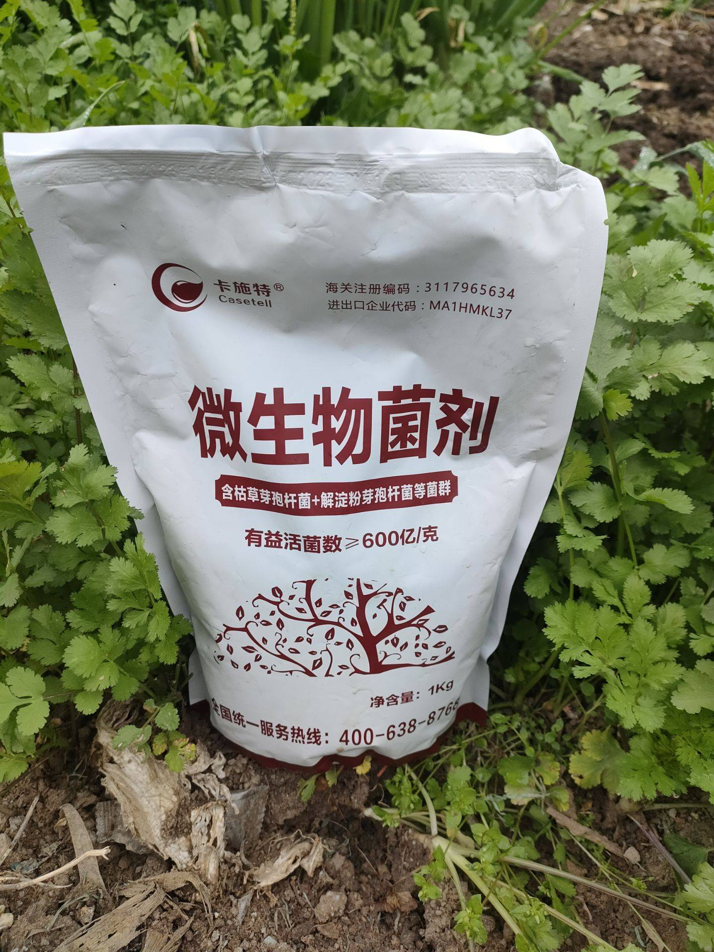 進口微生物菌劑如何選？卡施特效果實測與選購指南